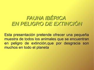 FAUNA IBÉRICA  EN PELIGRO DE EXTINCIÓN Esta presentación pretende ofrecer una pequeña muestra de todos los animales que se encuentran en peligro de extinción,que por desgracia son muchos en todo el planeta 