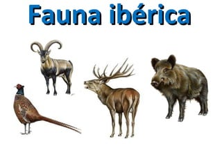 Fauna ibérica
 
