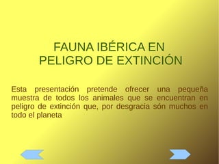 FAUNA IBÉRICA EN
PELIGRO DE EXTINCIÓN
Esta presentación pretende ofrecer una pequeña
muestra de todos los animales que se encuentran en
peligro de extinción que, por desgracia són muchos en
todo el planeta
 
