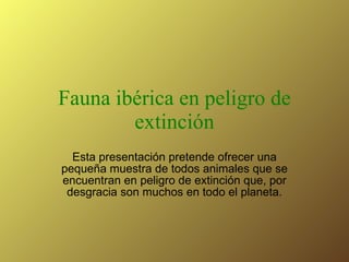 Fauna ibérica en peligro de extinción Esta presentación pretende ofrecer una pequeña muestra de todos animales que se encuentran en peligro de extinción que, por desgracia son muchos en todo el planeta. 