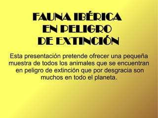 FAUNA IBÉRICA
          EN PELIGRO
         DE EXTINCIÓN
Esta presentación pretende ofrecer una pequeña
muestra de todos los animales que se encuentran
  en peligro de extinción que por desgracia son
           muchos en todo el planeta.
 