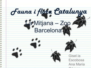 Fauna i flora Catalunya
La Mitjana – Zoo
Barcelona
Gisel.la
Escobosa
Ana Maria
 