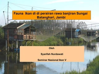 Fauna Ikan di di perairan rawa banjiran Sungai
Batanghari, Jambi

Oleh
Syarifah Nurdawati
Seminar Nasional Ikan V

 