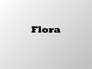 Flora