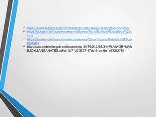  https://bioweb.bio/faunaweb/mammaliaweb/FichaEspecie/Tremarctos%20ornatus
 https://bioweb.bio/faunaweb/mammaliaweb/FichaEspecie/Odocoileus%20u
stus
 https://bioweb.bio/faunaweb/mammaliaweb/FichaEspecie/Didelphis%20ma
rsupialis
 http://suia.ambiente.gob.ec/documents/10179/242256/34+PLAN+DE+MAN
EJO+LLANGANATES.pdf/e19b71d9-3727-47dc-94be-6e1e63292754
 