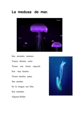 La medusa de mar.




Son animales marinos.

Tienen distinto color.

Tienen   una forma       especial.

Son   muy bonitas

Tienen muchas patas.

Son muchas.

En la imagen son lilas.

Son animales

Algunas brillan
 
