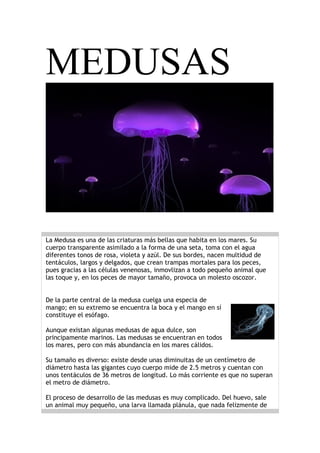 MEDUSAS



La Medusa es una de las criaturas más bellas que habita en los mares. Su
cuerpo transparente asimilado a la forma de una seta, toma con el agua
diferentes tonos de rosa, violeta y azúl. De sus bordes, nacen multidud de
tentáculos, largos y delgados, que crean trampas mortales para los peces,
pues gracias a las células venenosas, inmovlizan a todo pequeño animal que
las toque y, en los peces de mayor tamaño, provoca un molesto oscozor.


De la parte central de la medusa cuelga una especia de
mango; en su extremo se encuentra la boca y el mango en sí
constituye el esófago.

Aunque existan algunas medusas de agua dulce, son
principamente marinos. Las medusas se encuentran en todos
los mares, pero con más abundancia en los mares cálidos.

Su tamaño es diverso: existe desde unas diminuitas de un centímetro de
diámetro hasta las gigantes cuyo cuerpo mide de 2.5 metros y cuentan con
unos tentáculos de 36 metros de longitud. Lo más corriente es que no superan
el metro de diámetro.

El proceso de desarrollo de las medusas es muy complicado. Del huevo, sale
un animal muy pequeño, una larva llamada plánula, que nada felizmente de
 