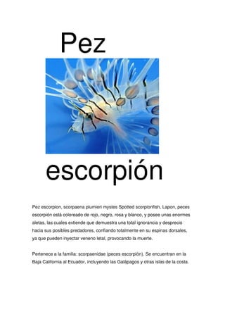 Pez



      escorpión
Pez escorpion, scorpaena plumieri mystes Spotted scorpionfish, Lapon, peces
escorpión está coloreado de rojo, negro, rosa y blanco, y posee unas enormes
aletas, las cuales extiende que demuestra una total ignorancia y desprecio
hacia sus posibles predadores, confiando totalmente en su espinas dorsales,
ya que pueden inyectar veneno letal, provocando la muerte.


Pertenece a la familia: scorpaenidae (peces escorpión). Se encuentran en la
Baja California al Ecuador, incluyendo las Galápagos y otras islas de la costa.
 