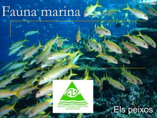 Fauna marinaFauna marina
Els peixos
 