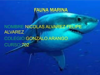 FAUNA MARINA
NOMBRE:NICOLAS ALVAREZ FELIPE
ALVAREZ
COLEGIO:GONZALO ARANGO
CURSO:702
 