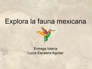 Explora la fauna mexicana
Entrega lotería
Lucía Escalera Aguilar
 