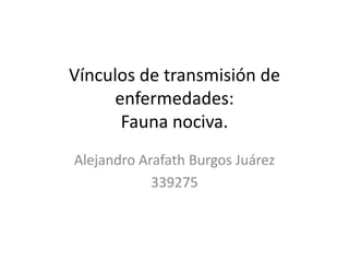 Vínculos de transmisión de
enfermedades:
Fauna nociva.
Alejandro Arafath Burgos Juárez
339275
 