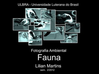 ULBRA - Universidade Luterana do Brasil




        Fotografia Ambiental

            Fauna
           Lilian Martins
              sem. 2/2012
 