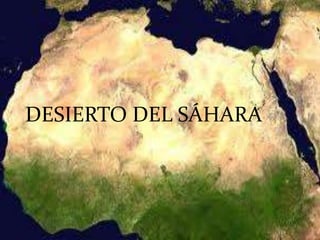DESIERTO DEL SÁHARA