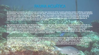 FAUNA ACUÁTICA
Se denominan animales acuáticos a los animales que viven en el En nuestro planeta existen infinitas variedades
de animales, hay diversas especies. Dentro de ellas, encontramos los animales marinos como una parte del gran
reino animal, que enriquecen nuestras aguas. Aquí vas a poder encontrar toda la información que necesitas
tener y saber sobre los Animales Marinos. Agua durante toda su vida. Los océanos representan el 71% de la
corteza de nuestro planeta, y allí como en el resto del mismo también hay vida, y es la Biología Marina la
encargada de estudiar a los seres vivos que allí habitan.
Agrupamos bajo el nombre de Animales Marinos, a todos aquellos animales que viven, la mayor parte de su
vida, o toda su vida bajo las aguas del mar. Existen miles, de las cuales lamentablemente conocemos muy pocas,
y según aseguran algunos científicos, nunca llegaremos a conocer todas, debido en muchos casos al gran
problema que estas especies tienen que enfrentar: La extinción, por sobre explotación de los mares, la
contaminación, que destruye inevitable e indefectiblemente su hábitat y la pesca indiscriminada. Ahora bien, es
importante saber que existen entre esos animales, dos grupos:
Los que no necesitan un 100 % del agua: Estos animales para su reproducción dependen de la tierra firme, ya
que generalmente a sus crías las tienen en la costa, y éstas se mantienen un tanto alejadas del agua hasta que
son jóvenes- adultas. Ejemplos de este grupo son los lobos marinos, los pingüinos y las focas. Es decir que estos
animales no dependen del agua en un 100%, además son carnívoros y detectan sus presas en grandes
profundidades, se sumergen y sus pabellones nasales se cierran automáticamente, para evitar que el agua
penetre en ellos, por un espacio de 20 minutos.
 