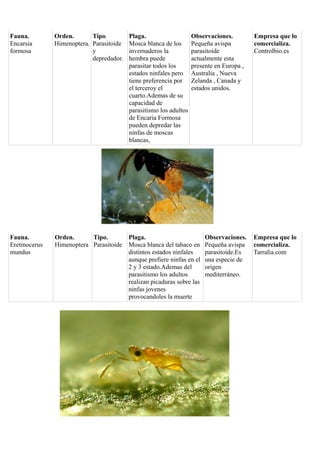 Fauna.
Encarsia
formosa

Orden.
Tipo.
Himenoptera. Parasitoide
y
depredador.

Plaga.
Mosca blanca de los
invernaderos la
hembra puede
parasitar todos los
estados ninfales pero
tiene preferencia por
el terceroy el
cuarto.Ademas de su
capacidad de
parasitismo los adultos
de Encaria Formosa
pueden depredar las
ninfas de moscas
blancas,

Observaciones.
Pequeña avispa
parasitoide
actualmente esta
presente en Europa ,
Australia , Nueva
Zelanda , Canada y
estados unidos.

Fauna.
Eretmocerus
mundus

Orden.
Tipo.
Himenoptera Parasitoide

Plaga.
Mosca blanca del tabaco en
distintos estados ninfales
aunque prefiere ninfas en el
2 y 3 estado.Ademas del
parasitismo los adultos
realizan picaduras sobre las
ninfas jovenes
provocandoles la muerte

Observaciones.
Pequeña avispa
parasitoide.Es
una especie de
origen
mediterráneo.

Empresa que lo
comercializa.
Controlbio.es

Empresa que lo
comercializa.
Tarralia.com

 