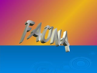 FAUNA 