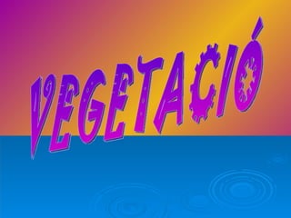 VEGETACIÓ 