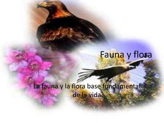 Fauna y flora La fauna y la flora base fundamental de la vida 
