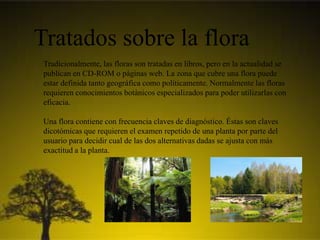 Tratados sobre la flora
Tradicionalmente, las floras son tratadas en libros, pero en la actualidad se
publican en CD-ROM o páginas web. La zona que cubre una flora puede
estar definida tanto geográfica como políticamente. Normalmente las floras
requieren conocimientos botánicos especializados para poder utilizarlas con
eficacia.
Una flora contiene con frecuencia claves de diagnóstico. Éstas son claves
dicotómicas que requieren el examen repetido de una planta por parte del
usuario para decidir cual de las dos alternativas dadas se ajusta con más
exactitud a la planta.
 