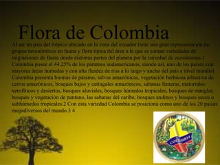 Flora de ColombiaAl ser un país del trópico ubicado en la zona del ecuador tiene una gran representación de
grupos taxonómicos en fauna y flora típica del área a la que se suman variedades de
migraciones de fauna desde distintas partes del planeta por la variedad de ecosistemas.1
Colombia posee el 44.25% de los páramos sudamericanos, siendo así, uno de los países con
mayores áreas humedas y con alta fluidez de ríos a lo largo y ancho del país a nivel mundial.
Colombia presenta biomas de páramo, selvas amazónicas, vegetación herbácea arbustiva de
cerros amazónicos, bosques bajos y catingales amazónicos, sabanas llaneras, matorrales
xerofíticos y desiertos, bosques aluviales, bosques húmedos tropicales, bosques de manglar,
bosques y vegetación de pantano, las sabanas del caribe, bosques andinos y bosques secos o
subhúmedos tropicales.2 Con esta variedad Colombia se posiciona como uno de los 20 países
megadiversos del mundo.3 4
 
