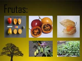 Frutas:
 