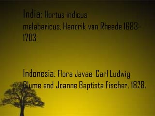 India: Hortus indicus
malabaricus, Hendrik van Rheede 1683–
1703
Indonesia: Flora Javae, Carl Ludwig
Blume and Joanne Baptista Fischer. 1828.
 