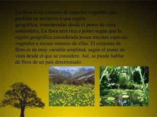 La flora es el conjunto de especies vegetales que
pueblan un territorio o una región
geográfica, consideradas desde el punto de vista
sistemático. La flora será rica o pobre según que la
región geográfica considerada posea muchas especies
vegetales o escaso número de ellas. El conjunto de
flora es de muy variable amplitud, según el punto de
vista desde el que se considere. Así, se puede hablar
de flora de un país determinado .
 