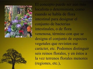 El concepto puede ser aún más
localista o determinista, como
cuando se habla de flora
intestinal para designar el
conjunto de bacterias
intestinales, o de flora
venenosa, término con que se
designa el conjunto de especies
vegetales que revisten ese
carácter, etc. Podemos distinguir
seis reinos florales, y en éstos a
la vez terrenos florales menores
(regiones, etc.),
 