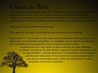 Clases de flora
Las plantas están agrupadas en floras que se fundamentan en regiones, períodos, medio
ambientes especiales o climas. Las regiones pueden ser hábitats geográficamente
distintos, como montañas o llanuras. Pueden referirse a la vida vegetal de una era
histórica como la flora fósil y pueden estar subdivididas en medio ambientes especiales:
Flora nativa. La flora autóctona de una zona.
Flora agrícola y de jardín. Las plantas que son cultivadas por los humanos.
lora arvense1 2 3 o de la maleza. Esta clasificación fue aplicada tradicionalmente a las
plantas que se consideraban indeseables y se estudiaban para su control o erradicación.
En la actualidad esta denominación se usa con menos frecuencia como
categorización de la vida vegetal, ya que se incluyen tres tipos diferentes
de plantas: las especies de malas hierbas, especies invasoras (que pueden o no
ser malas hierbas) y especies autóctonas e introducidas no del tipo maleza
agrícolamente indeseables. Se ha probado que muchas plantas nativas
que antes se consideraban malas hierbas son beneficiosas e incluso
necesarias en diversos ecosistemas.
 