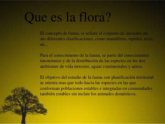 Fauna y flora
