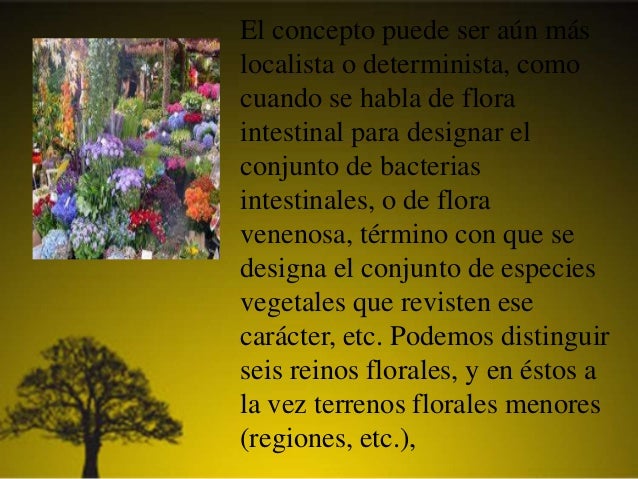 Fauna y flora