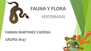 FAUNA Y FLORA 
VERTEBRADOS 
FABIAN MARTINEZ CADENA 
GRUPO: B147 
 