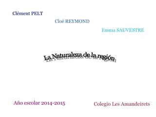 Clément PELT
Año escolar 2014-2015 Colegio Les Amandeirets
Cloé REYMOND
Emma SAUVESTRE
 