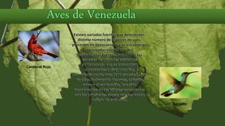Existen variadas fuentes que determinan
distinto número de especies de aves
presentes en Venezuela que se encuentran
amenazadas a nivel mundial.
Según algunas fuentes, son 370 de las
especies de animales existentes
en Venezuela que se encuentran
amenazadas a nivel mundial,
mayoritariamente aves (130 especies). Seis
de ellas, incluyendo dos aves, el águila
arpía y el cardenalito, han sido
incorporadas en los billetes venezolanos
con las principales causas que los ponen
peligro de extinción.
Cardenal Rojo
Tucusito
 