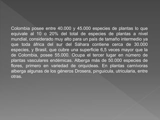 Colombia posee entre 40.000 y 45.000 especies de plantas lo que
equivale al 10 o 20% del total de especies de plantas a nivel
mundial, considerado muy alto para un país de tamaño intermedio ya
que toda áfrica del sur del Sáhara contiene cerca de 30.000
especies, y Brasil, que cubre una superficie 6,5 veces mayor que la
de Colombia, posee 55.000. Ocupa el tercer lugar en número de
plantas vasculares endémicas. Alberga más de 50.000 especies de
flores, primero en variedad de orquídeas. En plantas carnívoras
alberga algunas de los géneros Drosera, pinguicula, utricularia, entre
otras.
 