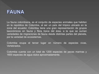 La fauna colombiana, es el conjunto de especies animales que habitan
en la república de Colombia, al ser un país del trópico ubicado en la
zona del ecuador, Colombia tiene una gran representación de grupos
taxonómicos en fauna y flora típica del área, a la que se suman
variedades de migraciones de fauna desde distintas partes del planeta,
por la variedad de ecosistemas.
Colombia ocupa el tercer lugar en número de especies vivas,
Vertebrados.
Colombia cuenta con un total de 1200 especies de peces marinas y
1600 especies de agua dulce aproximadamente.
 
