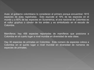 Aves: el gobierno colombiano lo consideran el primero porque encuentran 1815
especies de aves registradas. Esto equivale al 19% de las especies en el
mundo y a 60% de las especies en Suramérica, el ave nacional de Colombia es
el vultur gryphus o cóndor de los andes y es simbolizado en el escudo de
Colombia.
Mamíferos: hay 456 especies reportadas de mamíferos que posiciona a
Colombia en el cuarto lugar a nivel mundial en diversidad de esta clase.
Hay 30 especies de primates en Colombia. Este número de especies coloca a
Colombia en el quinto lugar a nivel mundial en diversidad de números de
especies de primates.
 