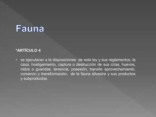*ARTÍCULO 4
• se ejecutaran a la disposiciones de esta ley y sus reglamentos, la
caza, hostigamiento, captura o destrucción de sus crías, huevos,
nidos o guaridas, tenencia, posesión, transito aprovechamiento,
comercio y transformación, de la fauna silvestre y sus productos
y subproductos.
 