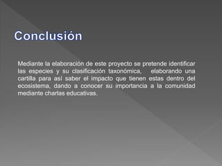 Mediante la elaboración de este proyecto se pretende identificar
las especies y su clasificación taxonómica, elaborando una
cartilla para así saber el impacto que tienen estas dentro del
ecosistema, dando a conocer su importancia a la comunidad
mediante charlas educativas.
 