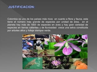 Colombia es uno de los países más ricos en cuanto a flora y fauna, esta
tiene el número más grande de especies por unidad de área, en el
planeta hay más de 1800 de especies en aves y hay gran variedad de
especies en tierras calientes y de lluviosidad crece una selva constituida
por arboles altos y follaje siempre verde.
 