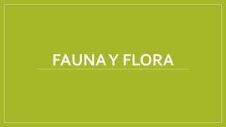 FAUNAY FLORA
 