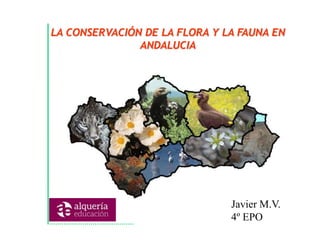 LA CONSERVACIÓN DE LA FLORA Y LA FAUNA EN
ANDALUCIA
Javier M.V.
4º EPO
 