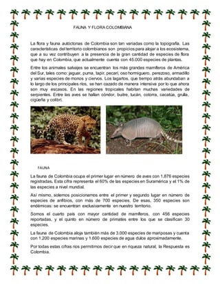 FAUNA Y FLORA COLOMBIANA
La flora y fauna autóctonas de Colombia son tan variadas como la topografía. Las
características del territorio colombianos son propicios para alojar a los ecosistema,
que a su vez contribuyen a la presencia de la gran cantidad de especies de flora
que hay en Colombia, que actualmente cuenta con 45.000 especies de plantas.
Entre los animales salvajes se encuentran los más grandes mamíferos de América
del Sur, tales como: jaguar, puma, tapir, pecarí, oso hormiguero, perezoso, armadillo
y varias especies de monos y ciervos. Los lagartos, que tiempo atrás abundaban a
lo largo de los principales ríos, se han cazado de manera intensiva por lo que ahora
son muy escasos. En las regiones tropicales habitan muchas variedades de
serpientes. Entre las aves se hallan cóndor, buitre, tucán, cotorra, cacatúa, grulla,
cigüeña y colibrí.
FAUNA
La fauna de Colombia ocupa el primer lugar en número de aves con 1.876 especies
registradas. Esta cifra representa el 60% de las especies en Suramérica y el 1% de
las especies a nivel mundial.
Así mismo, solemos posicionarnos entre el primer y segundo lugar en número de
especies de anfibios, con más de 700 especies. De esas, 350 especies son
endémicas: se encuentran exclusivamente en nuestro territorio.
Somos el cuarto país con mayor cantidad de mamíferos, con 456 especies
reportadas, y el quinto en número de primates entre los que se clasifican 30
especies.
La fauna de Colombia aloja también más de 3.000 especies de mariposas y cuenta
con 1.200 especies marinas y 1.600 especies de agua dulce aproximadamente.
Por todas estas cifras nos permitimos decir que en riqueza natural, la Respuesta es
Colombia.
 