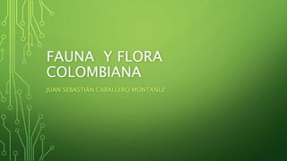 FAUNA Y FLORA
COLOMBIANA
JUAN SEBASTIÁN CABALLERO MONTAÑEZ
 