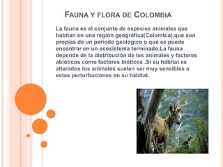 FAUNA Y FLORA DE COLOMBIA
La fauna es el conjunto de especies animales que
habitan en una región geográfica(Colombia),que son
propias de un periodo geologico o que se puede
encontrar en un ecosistema terminado.La fauna
depende de la distribución de los animales y factores
abióticos como factores bióticos .Si su hábitat es
alterados los animales suelen ser muy sensibles a
estas perturbaciones en su hábitat.
 
