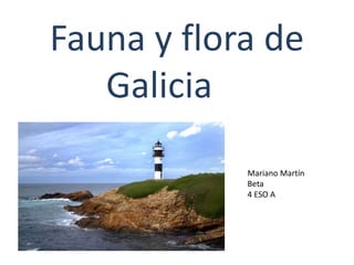 Fauna y flora de
Galicia
Mariano Martín
Beta
4 ESO A
 