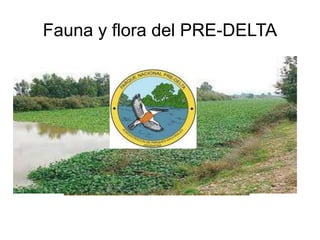 Fauna y flora del PRE-DELTA 
 