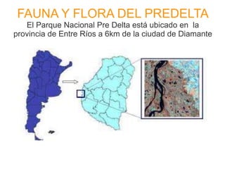 FAUNA Y FLORA DEL PREDELTA 
El Parque Nacional Pre Delta está ubicado en la 
provincia de Entre Ríos a 6km de la ciudad de Diamante 
 
