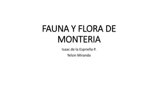 FAUNA Y FLORA DE
MONTERIA
Isaac de la Espriella P.
Yelsin Miranda
 